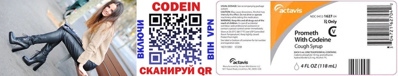Codein напиток Lean (лин)  где можно купить   Каменногорск 