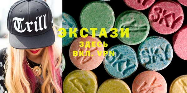 индика Алексин