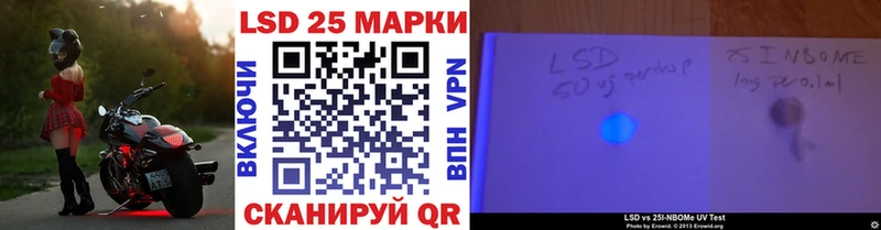 где купить наркотик  Каменногорск  Наркотические марки 1,5мг 